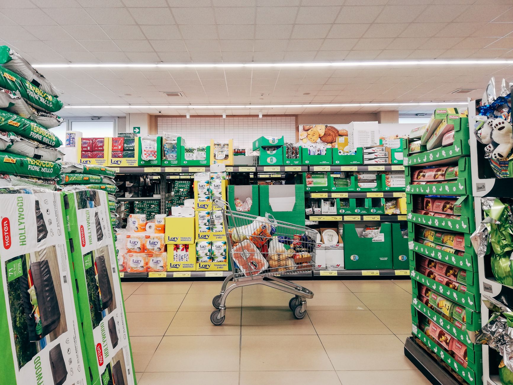 Two Carts, One Trip - the grocery run